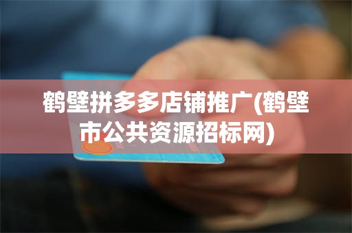 鹤壁拼多多店铺推广(鹤壁市公共资源招标网)