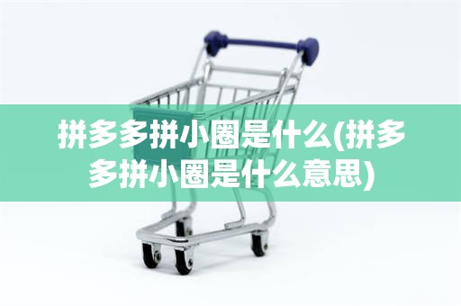 拼多多拼小圈是什么(拼多多拼小圈是什么意思)