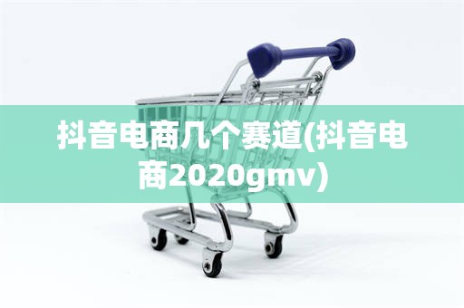 抖音电商几个赛道(抖音电商2020gmv)