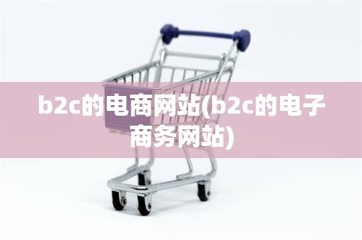 b2c的电商网站(b2c的电子商务网站)