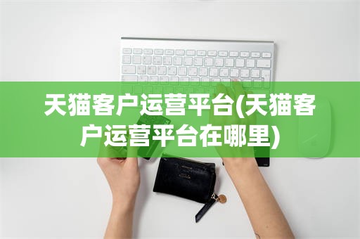 天猫客户运营平台(天猫客户运营平台在哪里)