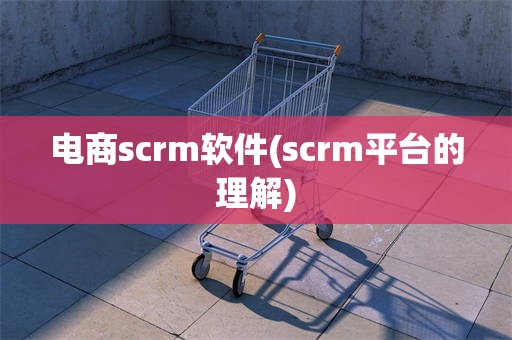 电商scrm软件(scrm平台的理解)