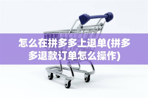 怎么在拼多多上退单(拼多多退款订单怎么操作)