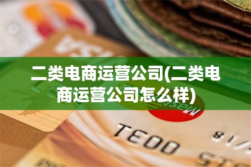 二类电商运营公司(二类电商运营公司怎么样)