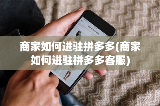 商家如何进驻拼多多(商家如何进驻拼多多客服)