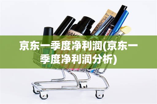 京东一季度净利润(京东一季度净利润分析)