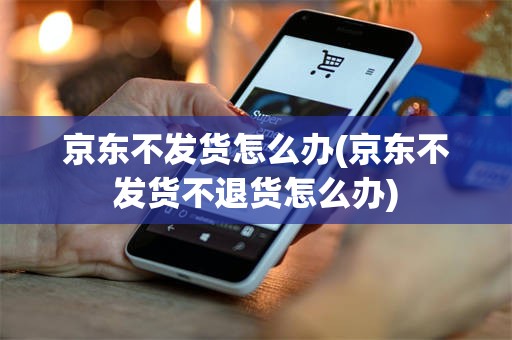 京东不发货怎么办(京东不发货不退货怎么办)