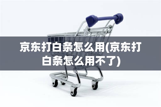 京东打白条怎么用(京东打白条怎么用不了)
