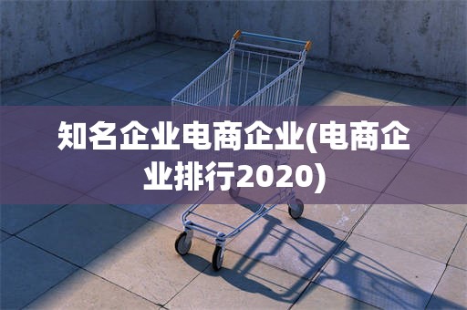 知名企业电商企业(电商企业排行2020)