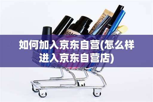 如何加入京东自营(怎么样进入京东自营店)