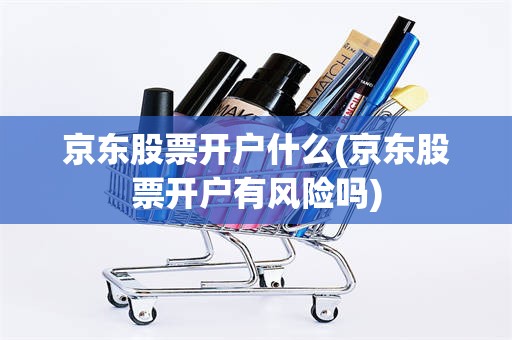 京东股票开户什么(京东股票开户有风险吗)
