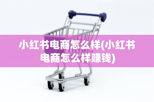 小红书电商怎么样(小红书电商怎么样赚钱)