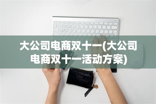 大公司电商双十一(大公司电商双十一活动方案)