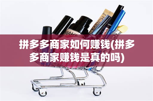 拼多多商家如何赚钱(拼多多商家赚钱是真的吗)
