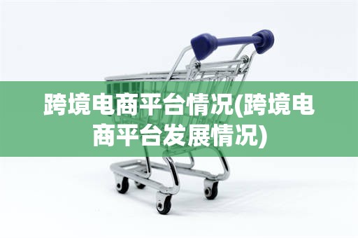 跨境电商平台情况(跨境电商平台发展情况)