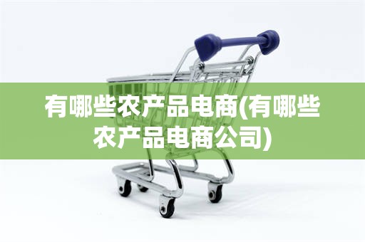 有哪些农产品电商(有哪些农产品电商公司)
