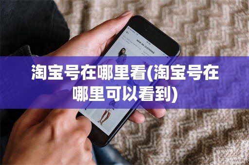 淘宝号在哪里看(淘宝号在哪里可以看到)