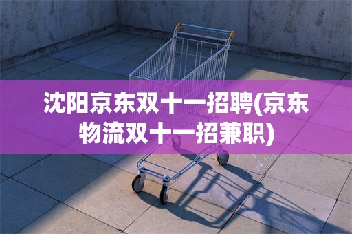 沈阳京东双十一招聘(京东物流双十一招兼职)