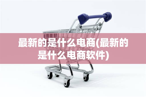 最新的是什么电商(最新的是什么电商软件)