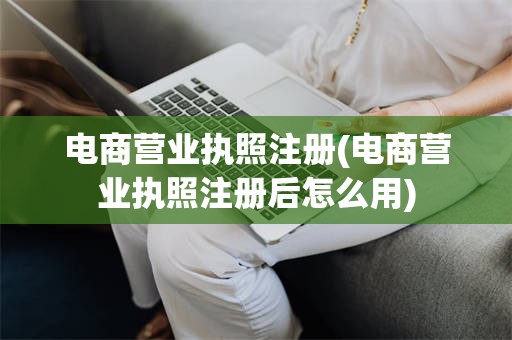 电商营业执照注册(电商营业执照注册后怎么用)