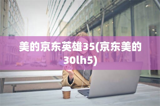 美的京东英雄35(京东美的30lh5)