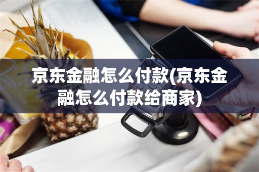 京东金融怎么付款(京东金融怎么付款给商家)