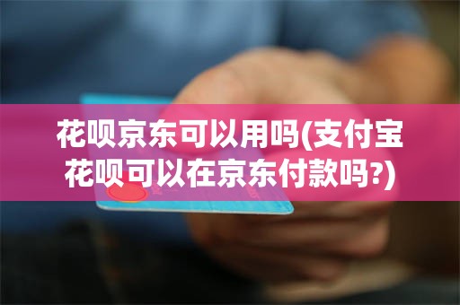 花呗京东可以用吗(支付宝花呗可以在京东付款吗?)