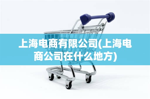 上海电商有限公司(上海电商公司在什么地方)