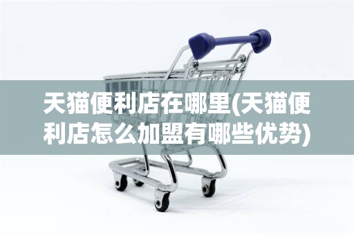 天猫便利店在哪里(天猫便利店怎么加盟有哪些优势)