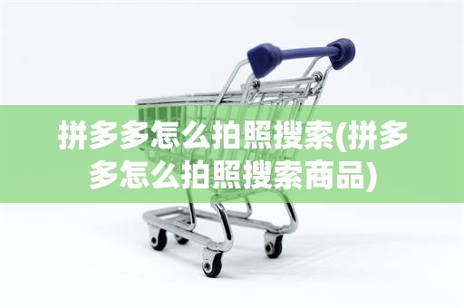 拼多多怎么拍照搜索(拼多多怎么拍照搜索商品)