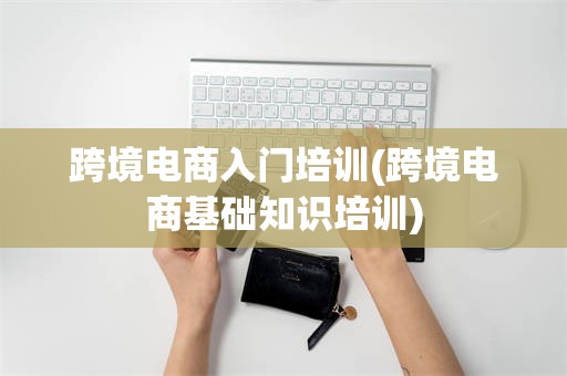 跨境电商入门培训(跨境电商基础知识培训)