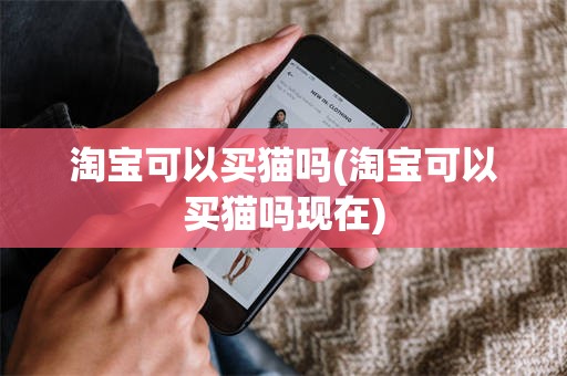 淘宝可以买猫吗(淘宝可以买猫吗现在)