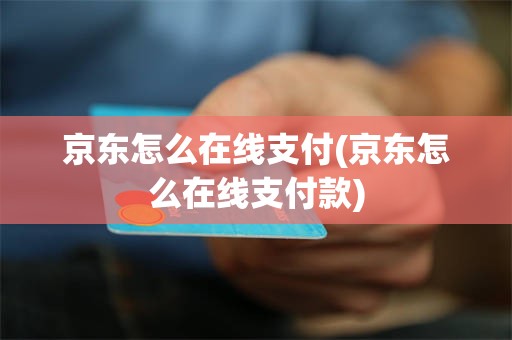 京东怎么在线支付(京东怎么在线支付款)