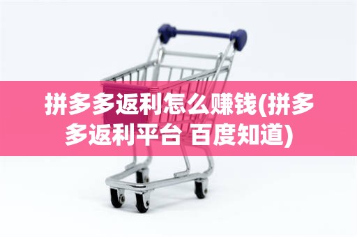 拼多多返利怎么赚钱(拼多多返利平台 百度知道)