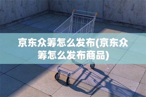 京东众筹怎么发布(京东众筹怎么发布商品)