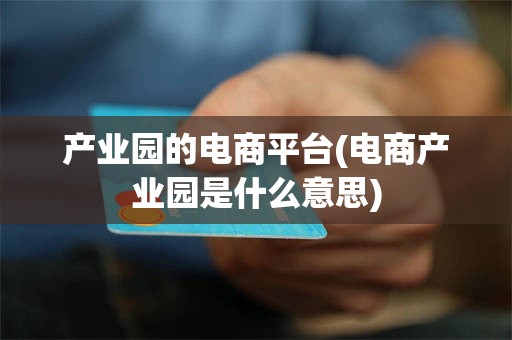 产业园的电商平台(电商产业园是什么意思)